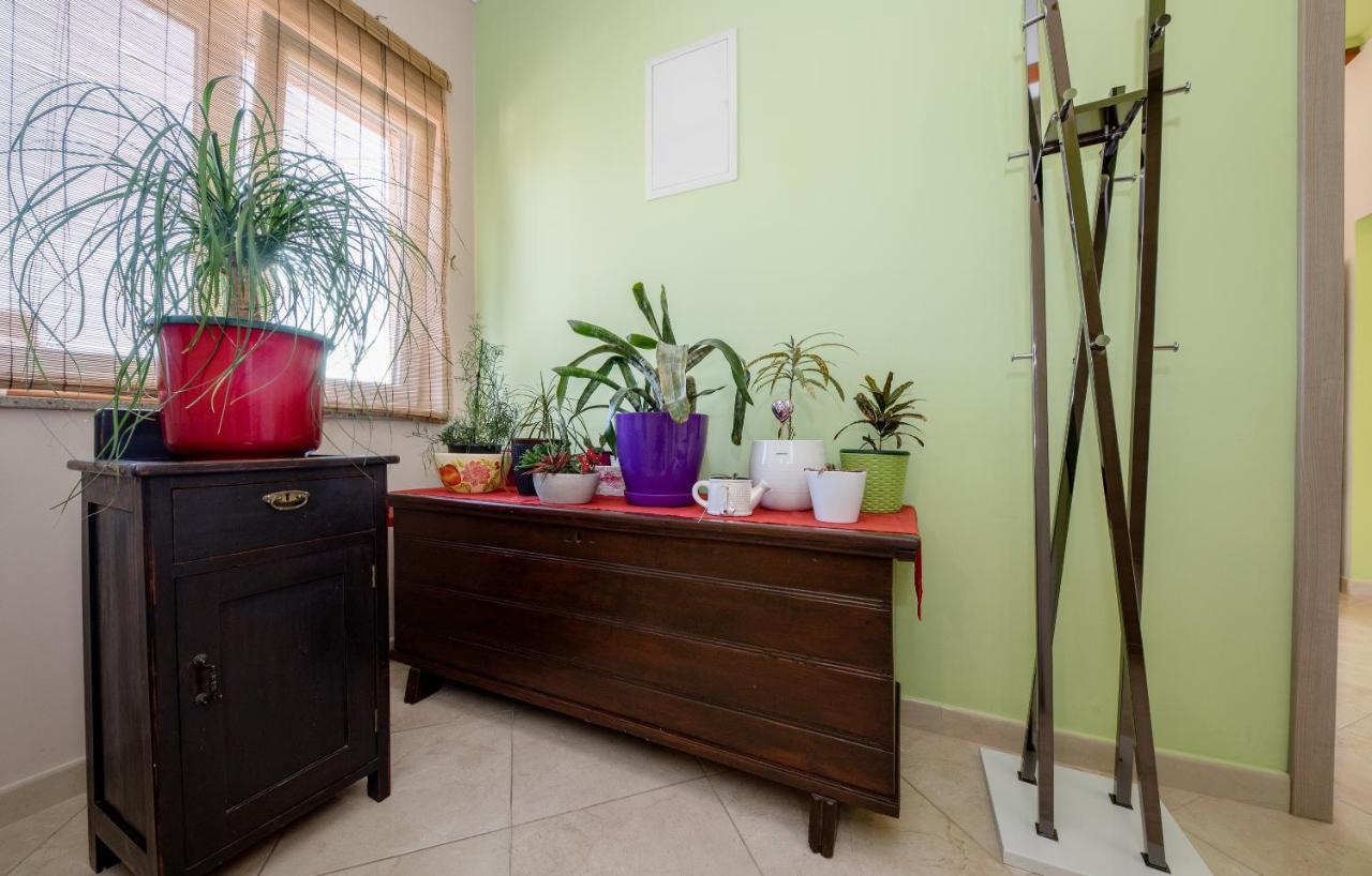 ראב Apartments Luka מראה חיצוני תמונה