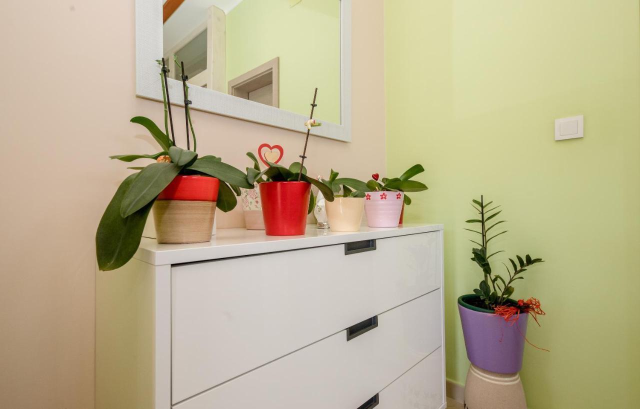 ראב Apartments Luka מראה חיצוני תמונה