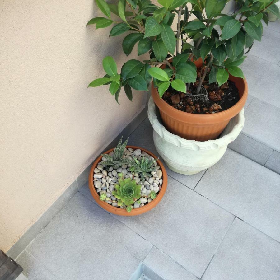 ראב Apartments Luka מראה חיצוני תמונה